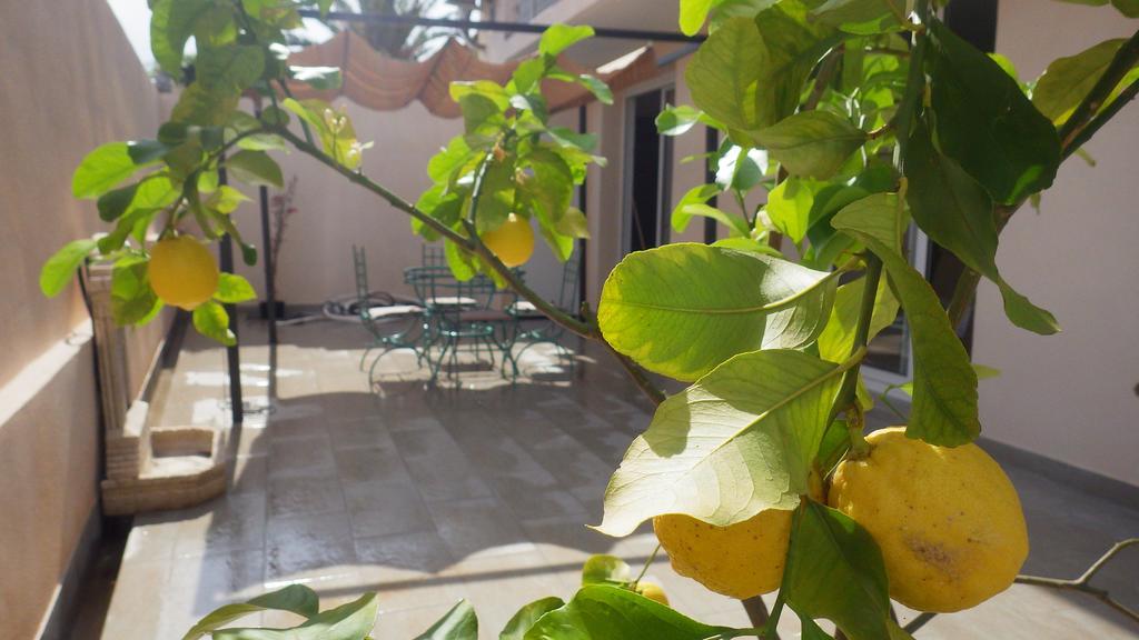 Casa Di A Murza Calvi  Extérieur photo